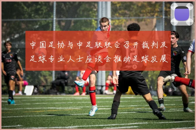中国足协与中足联联合召开裁判及足球专业人士座谈会推动足球发展新举措
