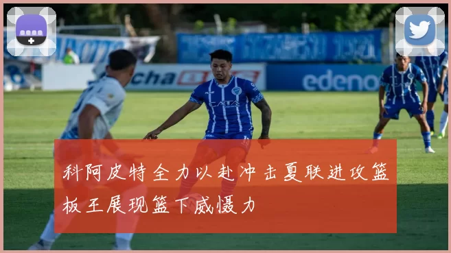 科阿皮特全力以赴冲击夏联进攻篮板王展现篮下威慑力