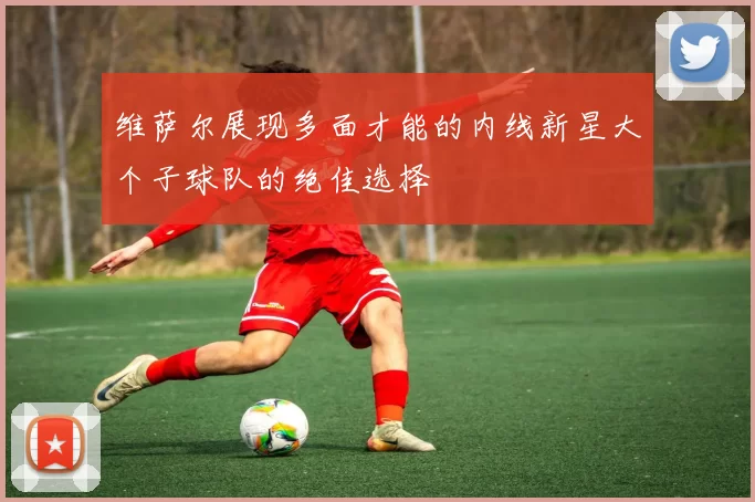 维萨尔展现多面才能的内线新星大个子球队的绝佳选择