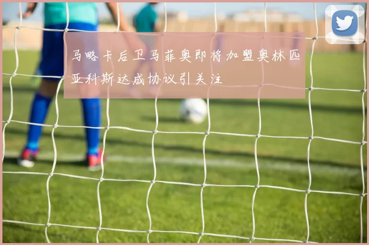 马略卡后卫马菲奥即将加盟奥林匹亚科斯达成协议引关注